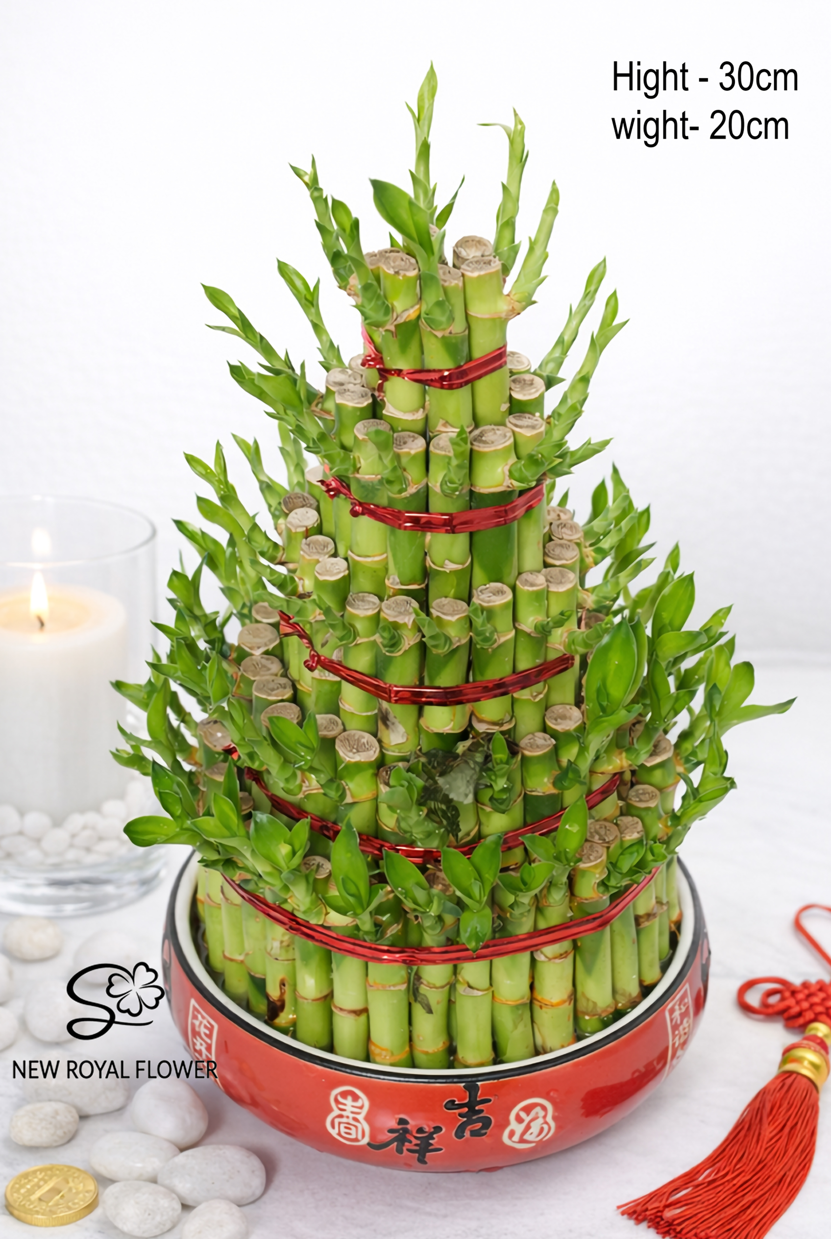Tier Lucky Bamboo Tower (Dracaena sanderiana)