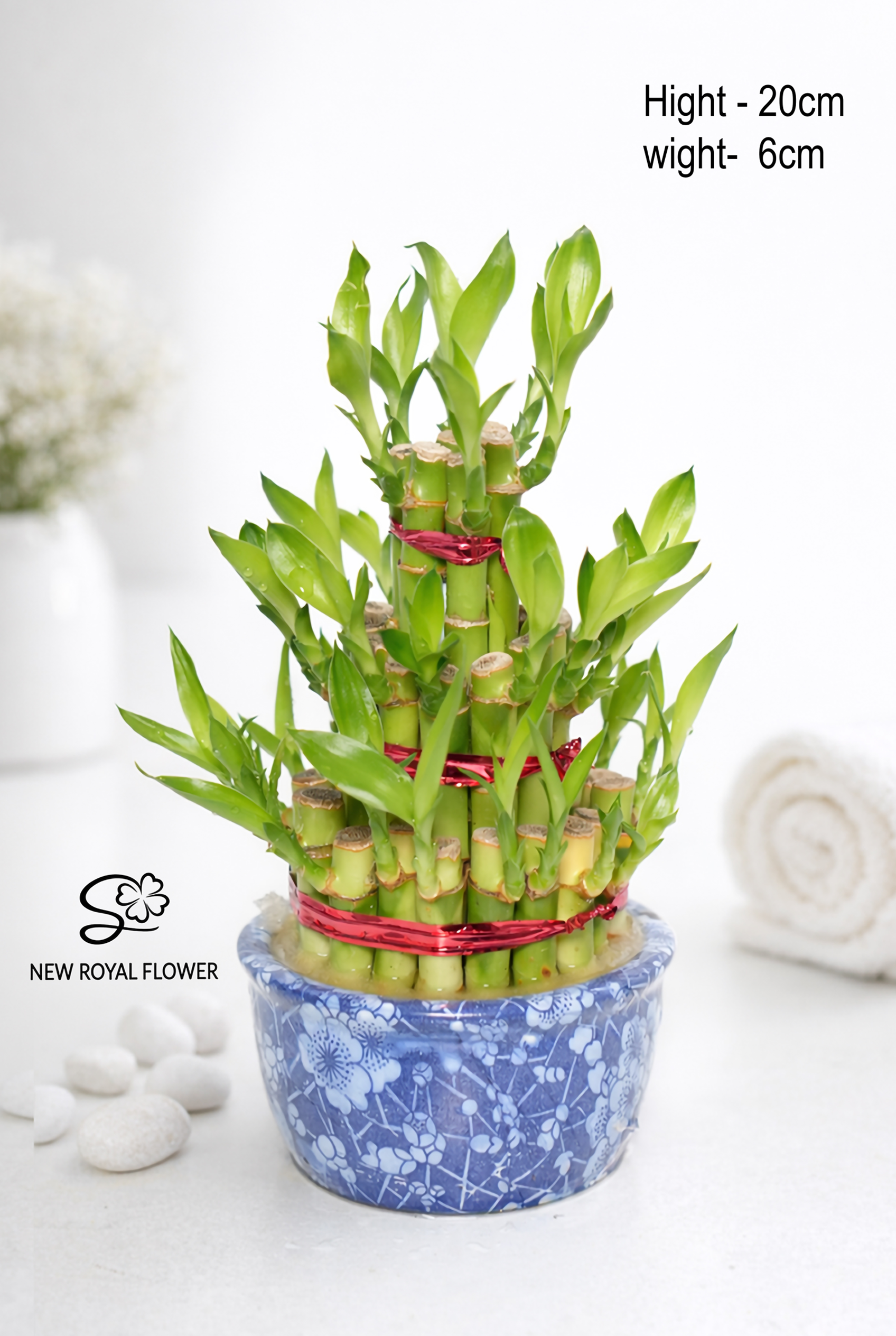 Mini 3-Tier Lucky Bamboo Tower (Dracaena sanderiana) in Blue Floral Ceramic Pot