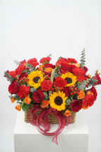 SUNNY  CRIMSON BASKET
