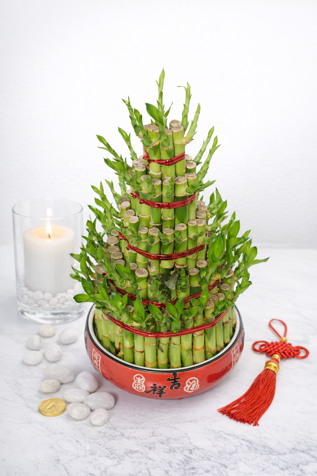 Tier Lucky Bamboo Tower (Dracaena sanderiana)
