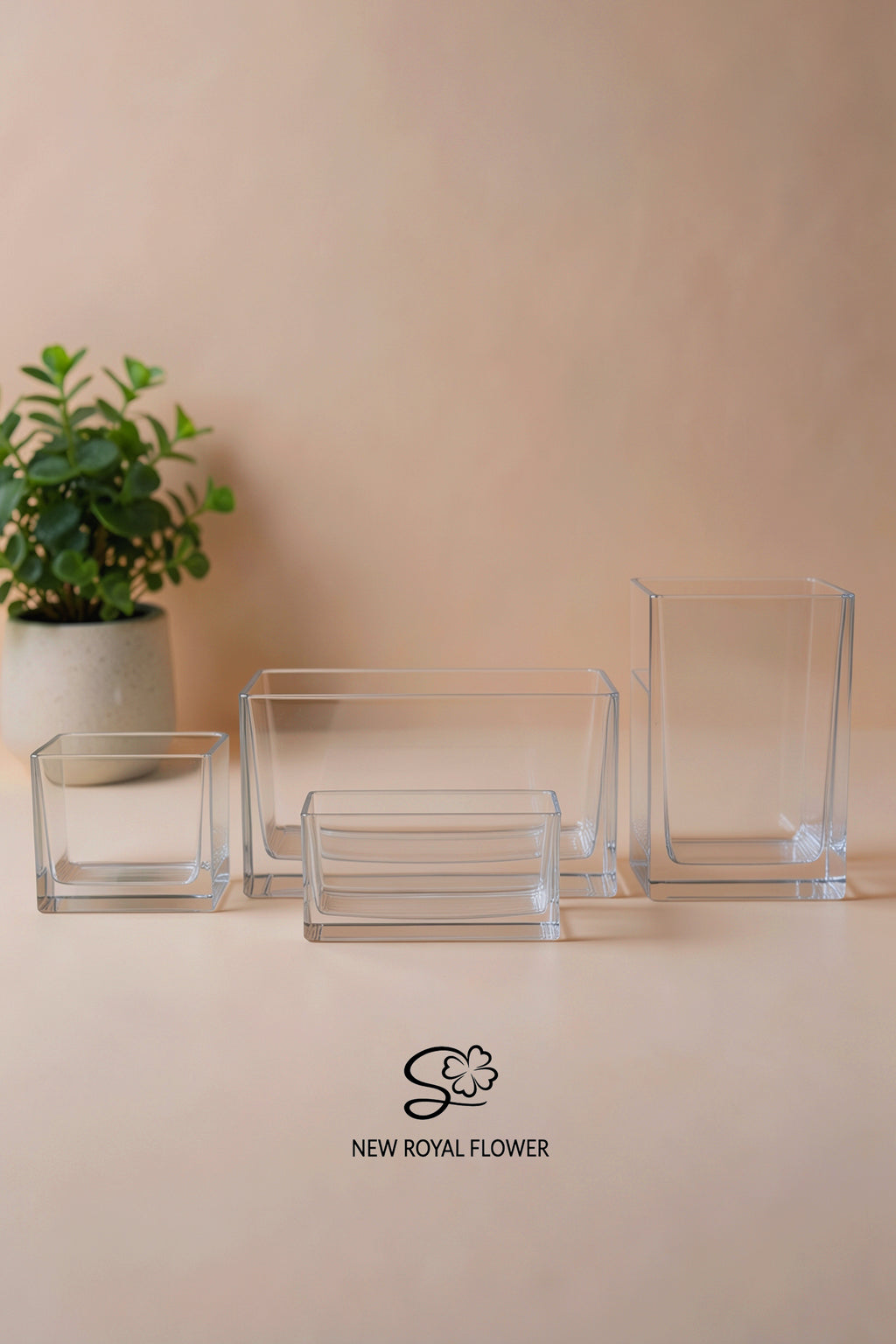 Square Clear Glass Vase