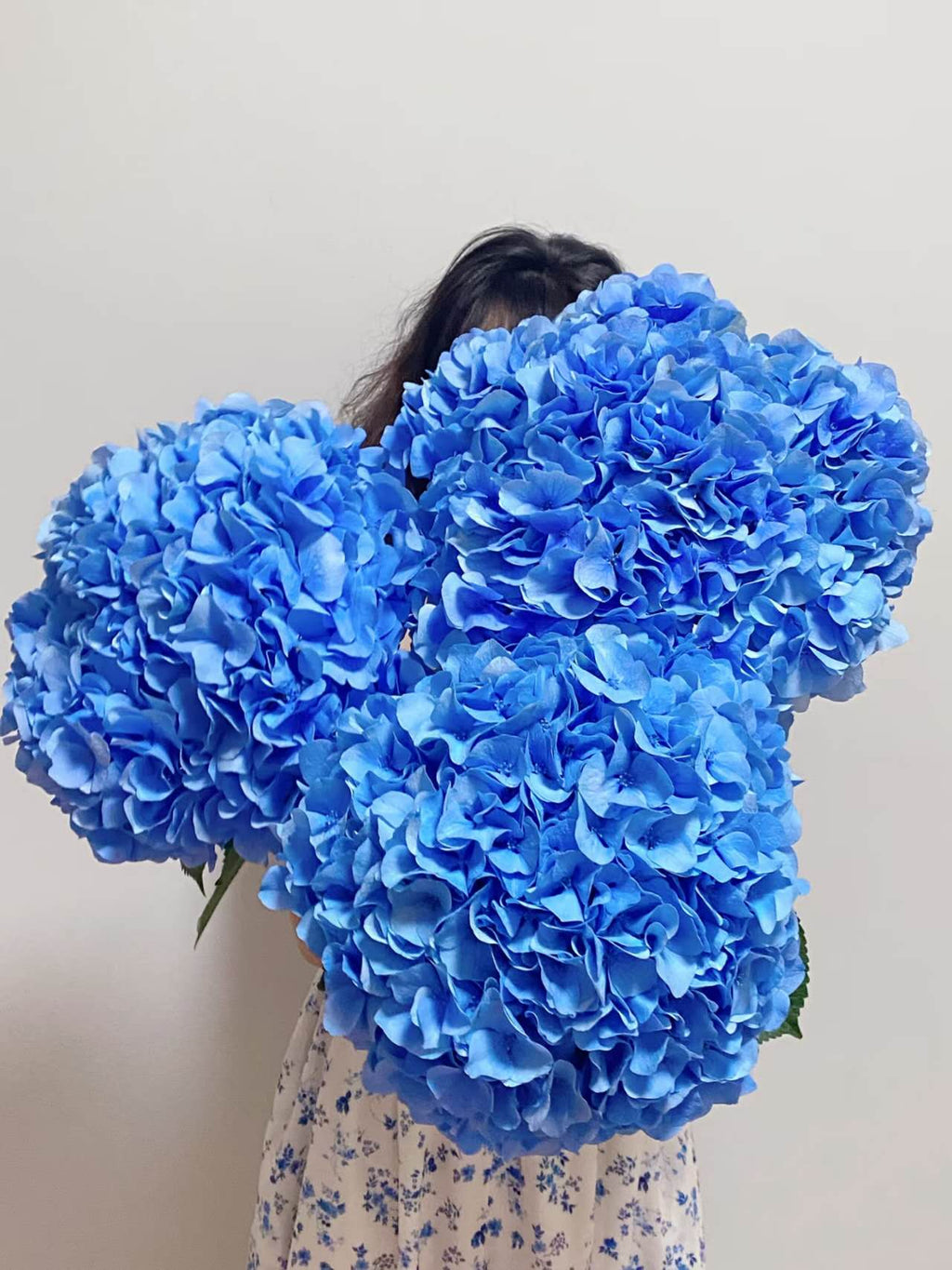 Hydrangea Blue 1 pcs
