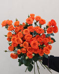 Spray Rose Orange Barbie