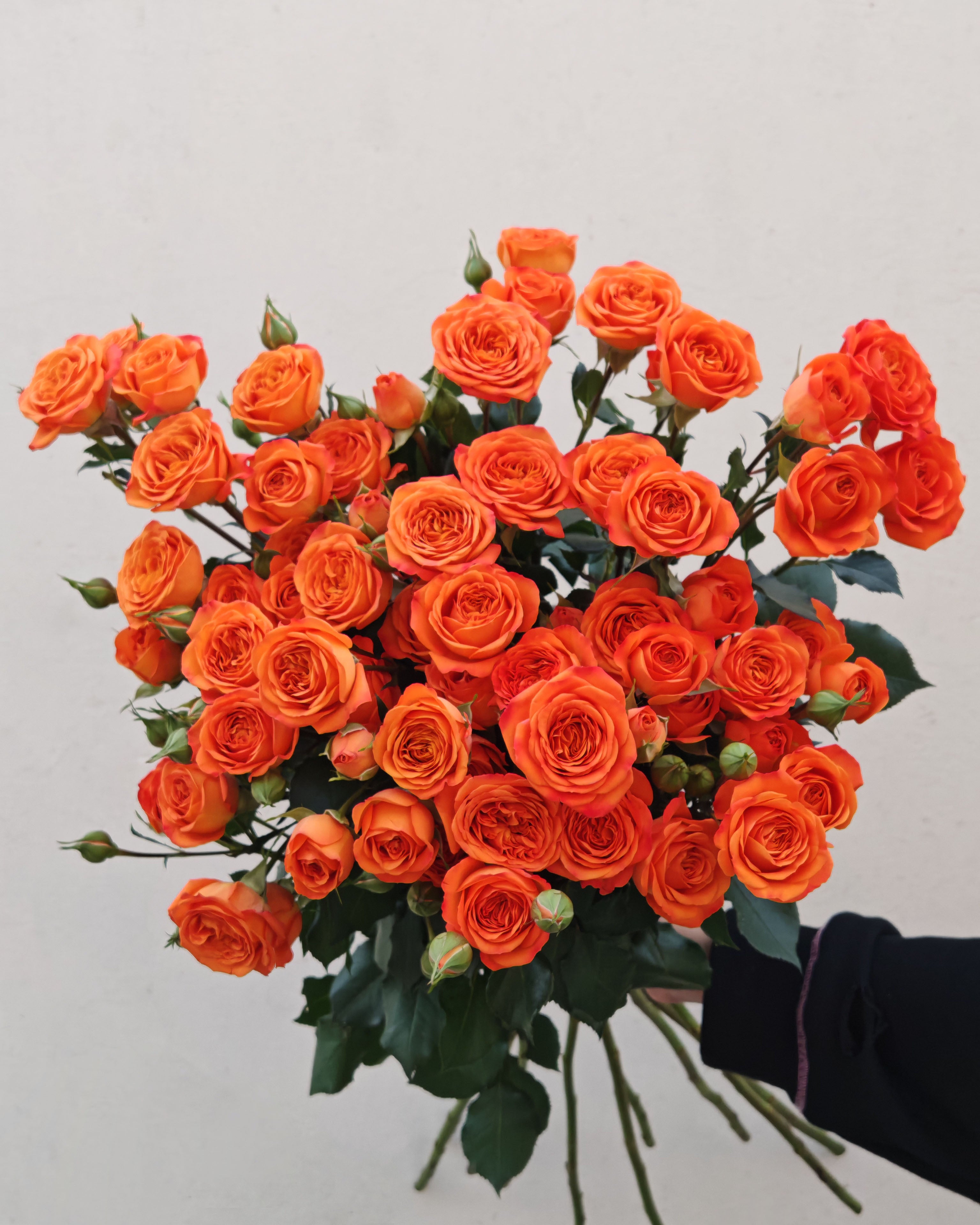 Spray Rose Orange Barbie  5pcs