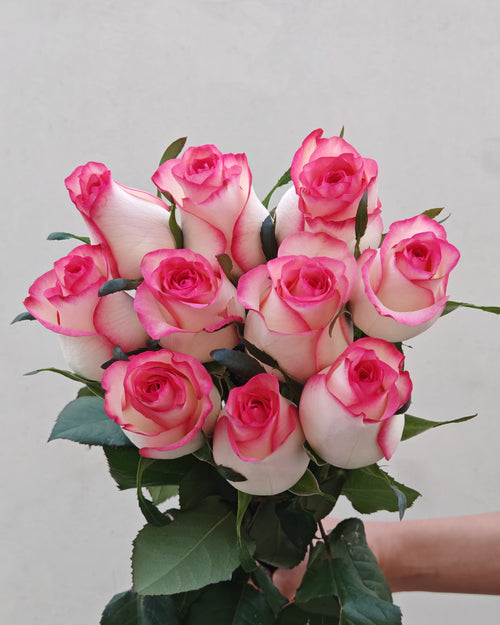 Fresh Flower Elsa Rose 5 Pcs