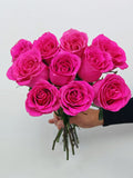 Rose Magenta 5pcs