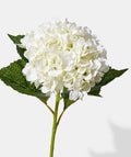 Hydrangea White 1 pcs