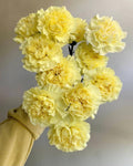 Yellow Carnations