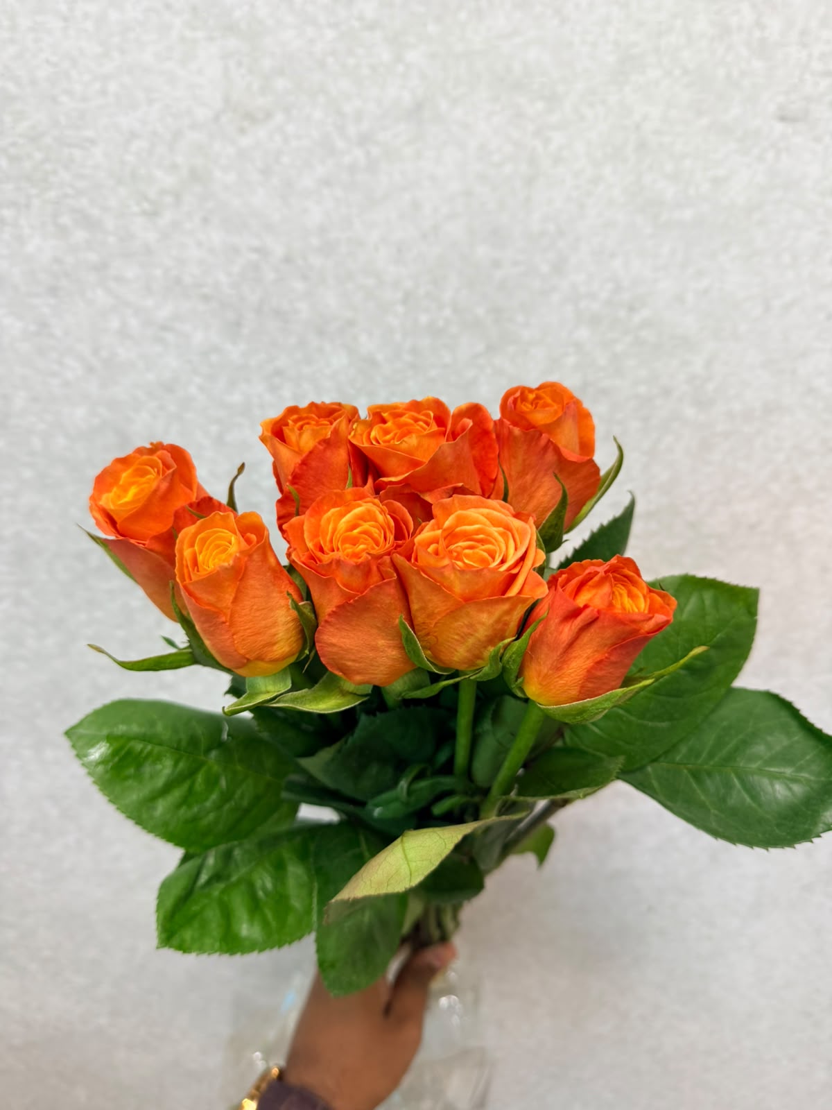 Rose confidential 1ps