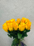 Rose brighton