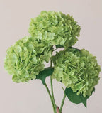 Hydrangea Light Green 1 pcs