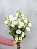 Eustoma White Bunch