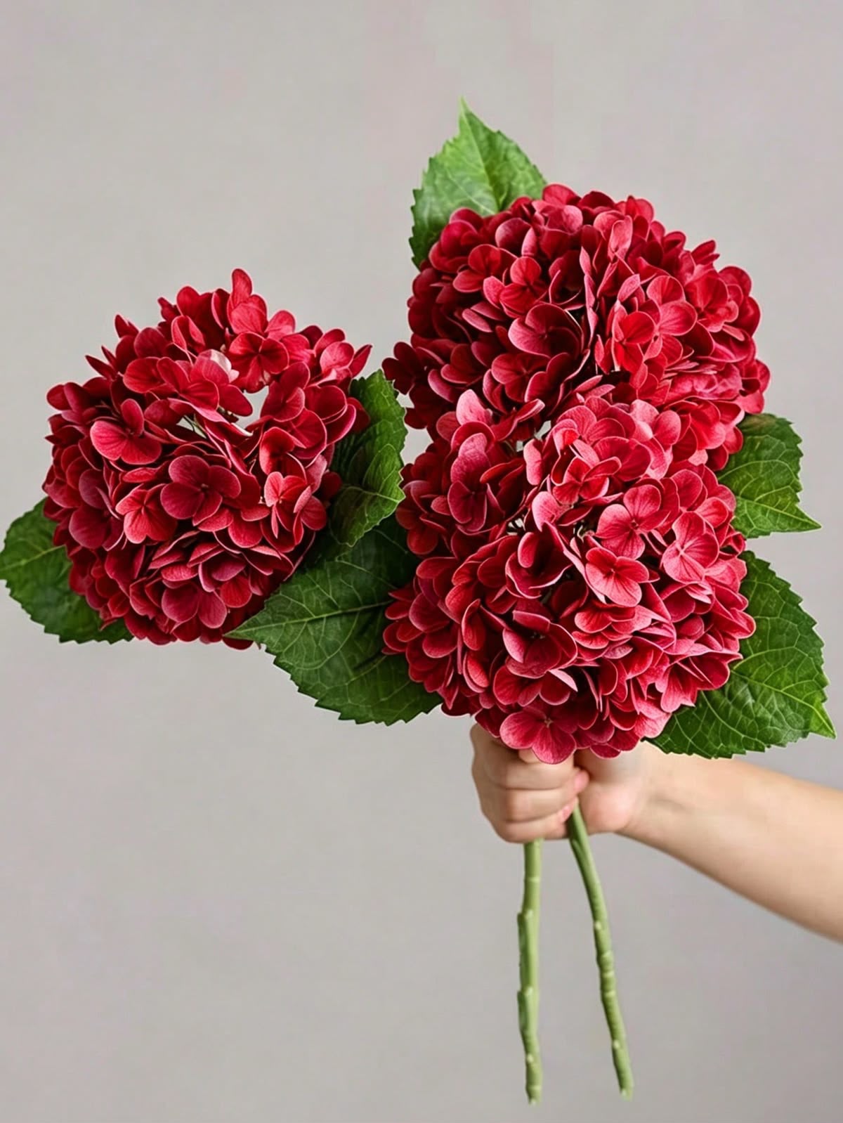 Hydrangea Red 1 pcs