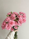 Carnation Pink Bunch