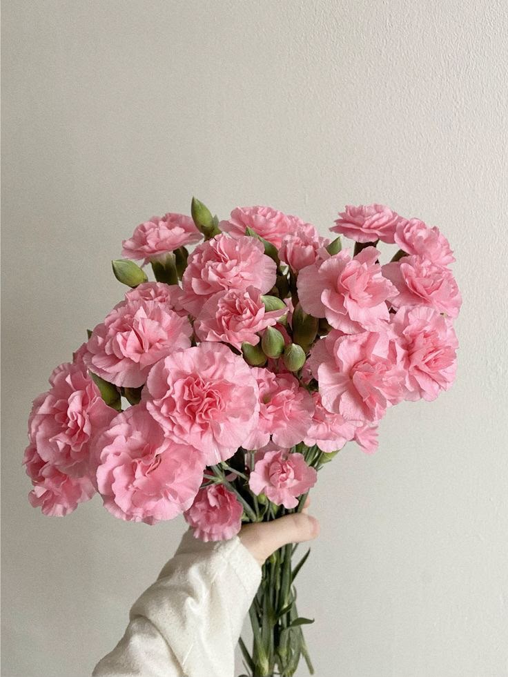 Carnation Pink Bunch