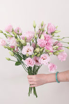 Eustoma Pink  Bunch