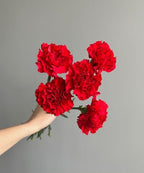 Carnation Red Bunch