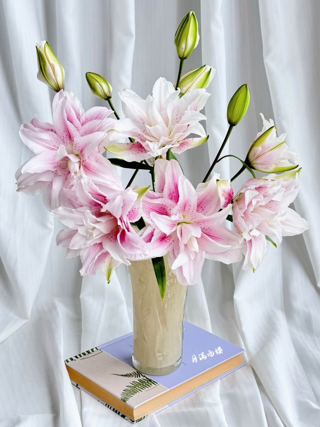 Isabella Pink Double-Petal Lily 1 pcs (1 Stem with 3 Blooms)